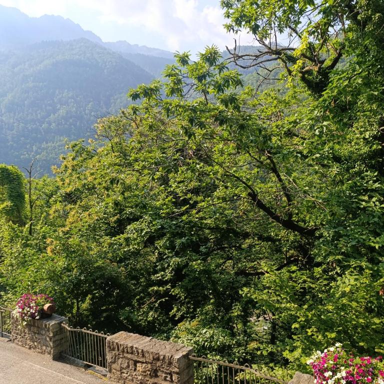 Pombo de sutta - Studio apartment - Appartamento con 1 Camera da Letto - 12