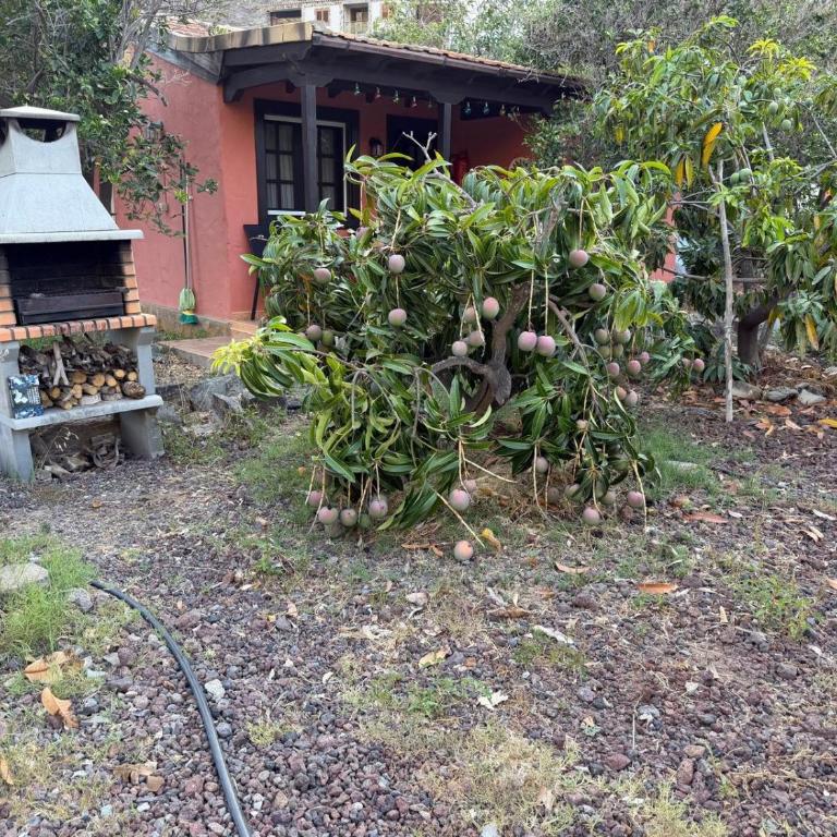 Finca Nim 1 - Villa con Vista Giardino - 5
