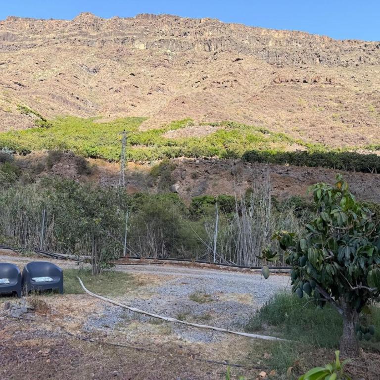 Finca Nim 1 - Villa con Vista Giardino - 6