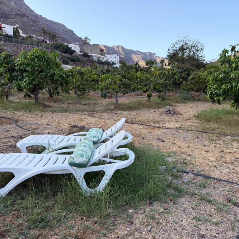 Finca Nim 1 - Villa con Vista Giardino - 8