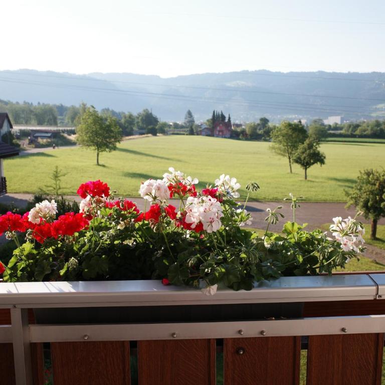 Ferienwohnungen Andreas Schäfler - Superior Apartment mit 1 Schlafzimmer und Balkon - 27