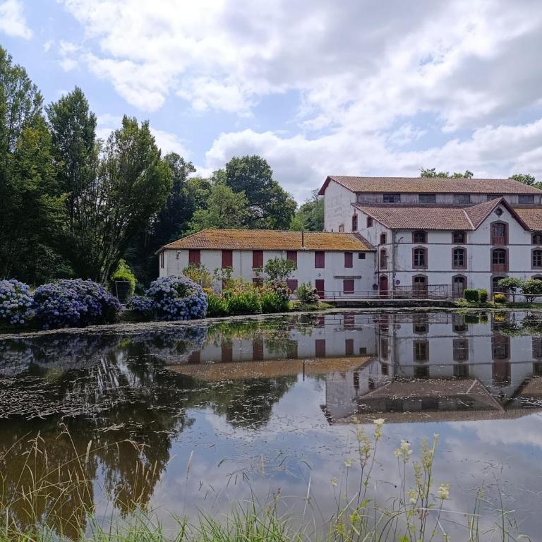 Dax Jardin Studio - Appartement 1 Chambre - 19