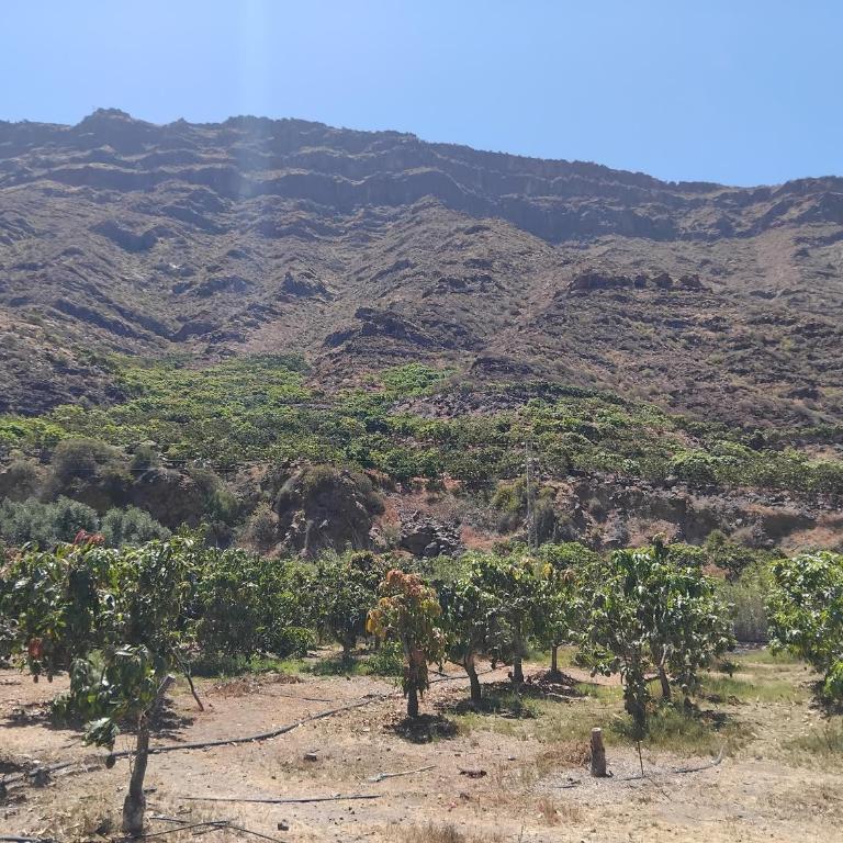 Finca Nim 1 - Villa con Vista Giardino - 4