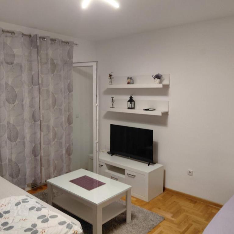 Apartman Rosić - Apartment - 3