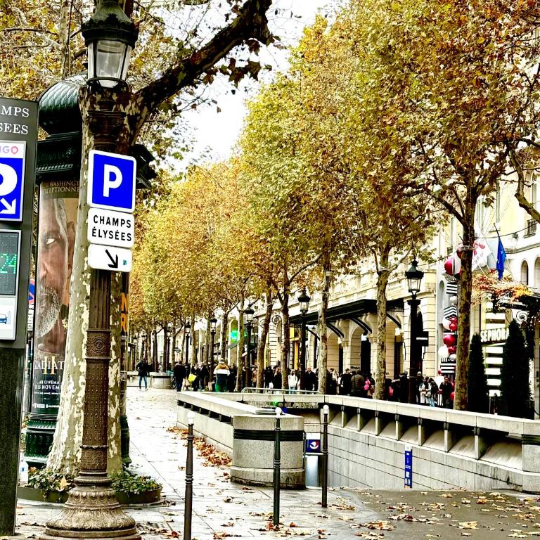 Champs elysees apartment 4 - Appartamento con 1 Camera da Letto - 18