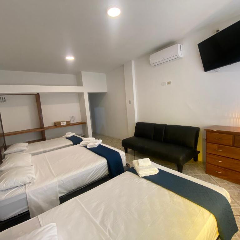 Costa Beach - Superior Quadruple Room - 5