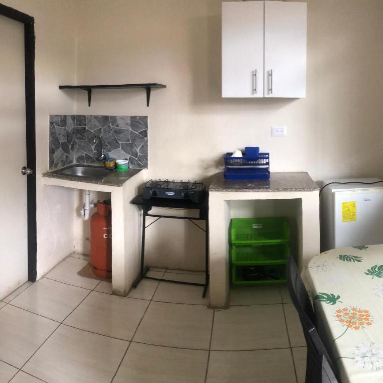Suite Palmer - Apartamento de 1 dormitorio - 5