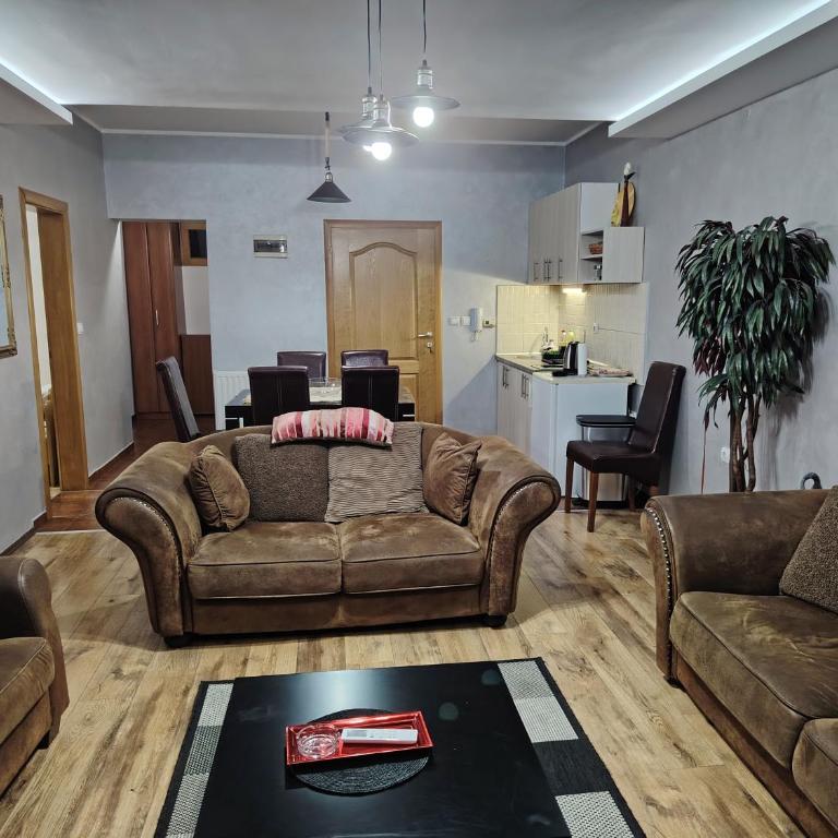 Apartments Vila Knez - Appartement 2 Chambres - 10