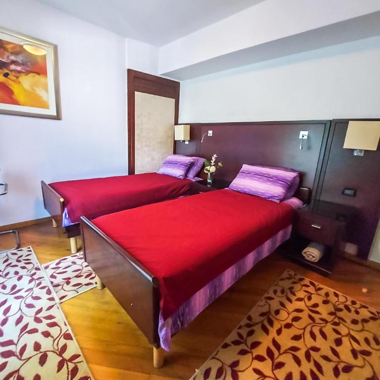 Hotel Rimski Most - Standardna Dvokrevetna Soba sa Zasebnim Krevetima - 5