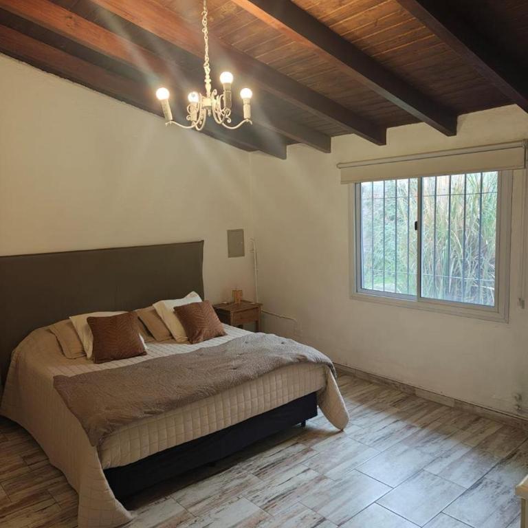 Casa completa en el corazón de chacras - Casa de 5 dormitorios - 24