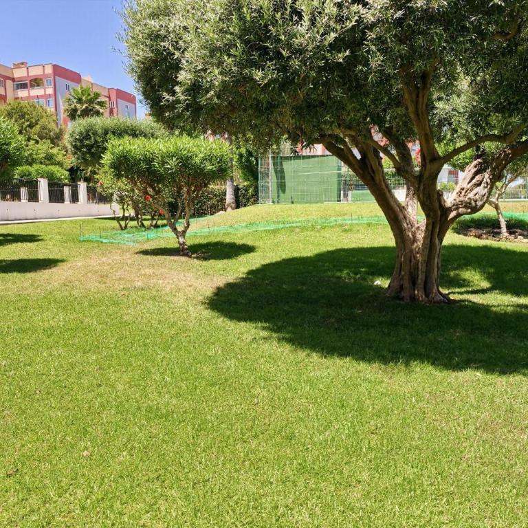 TorreSol Danuria - Apartamento - Planta baja - 15