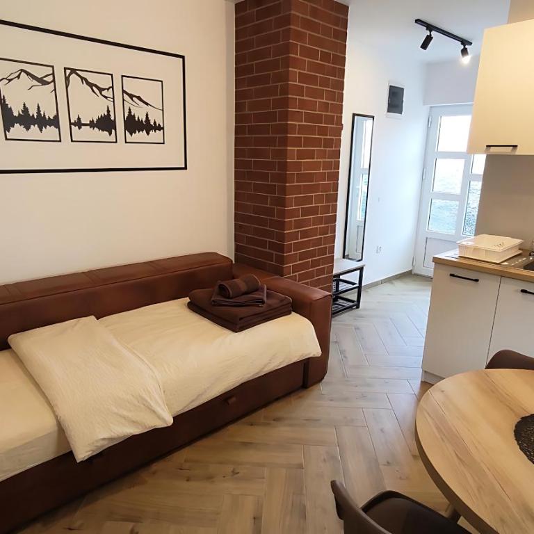 Smeštaj Miljković - Apartman sa 1 Spavaćom Sobom - 4