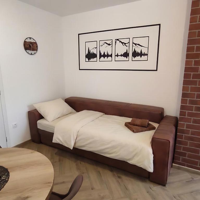 Smeštaj Miljković - Apartman sa 1 Spavaćom Sobom - 6