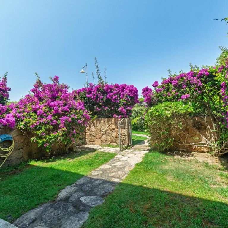 Residence il Gabbiano - Casa con 2 Camere da Letto - 2
