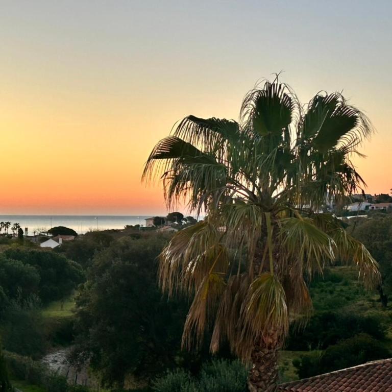 Villa soleil - Vue mer et montagne - Piscine privée, tennis, accès plage à pied - Villa - 71