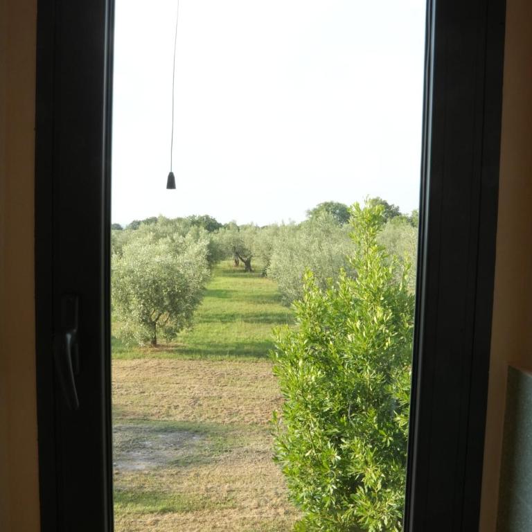 Alloggio turistico - Appartamento con 2 Camere da Letto - 11
