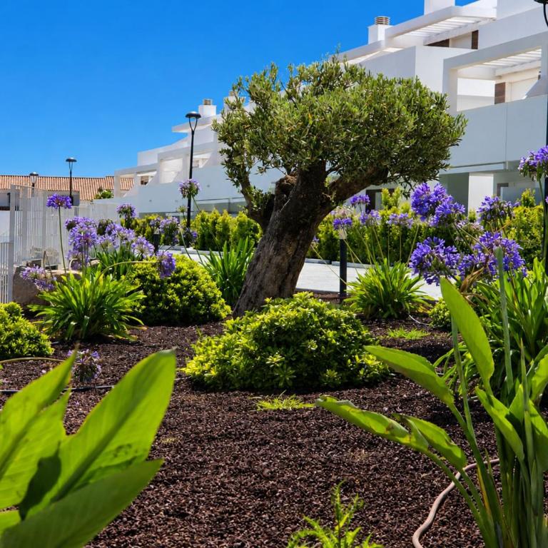 BHost - La Macarena de Atlanterra - Apartamento de 2 dormitorios - 33