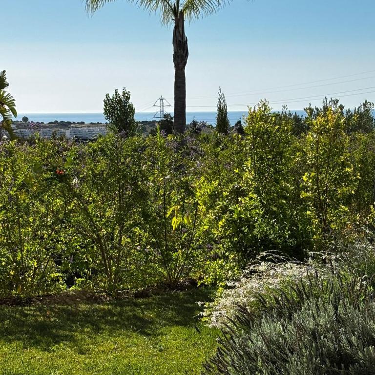 Stylish 2 bedroom apartment in Alcazaba Lagoon - Apartamento de 2 dormitorios - 39