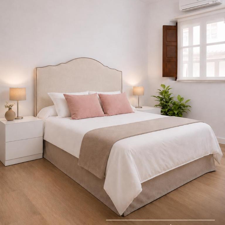 Palacio del siglo XVII frente a los Jardines de Murillo - Apartamento con terraza - 15