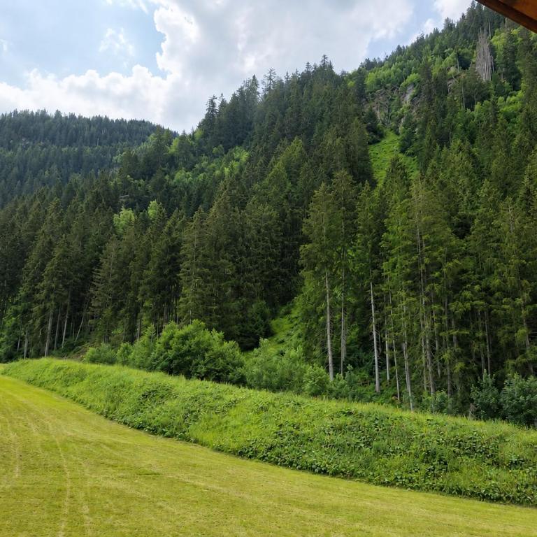 Alpenchalet Vital - Apartment mit 2 Schlafzimmern und Balkon - 2
