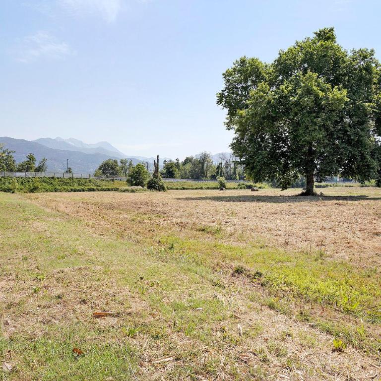 Casa La Rondine in Versilia - Casa con 2 Camere da Letto - 29