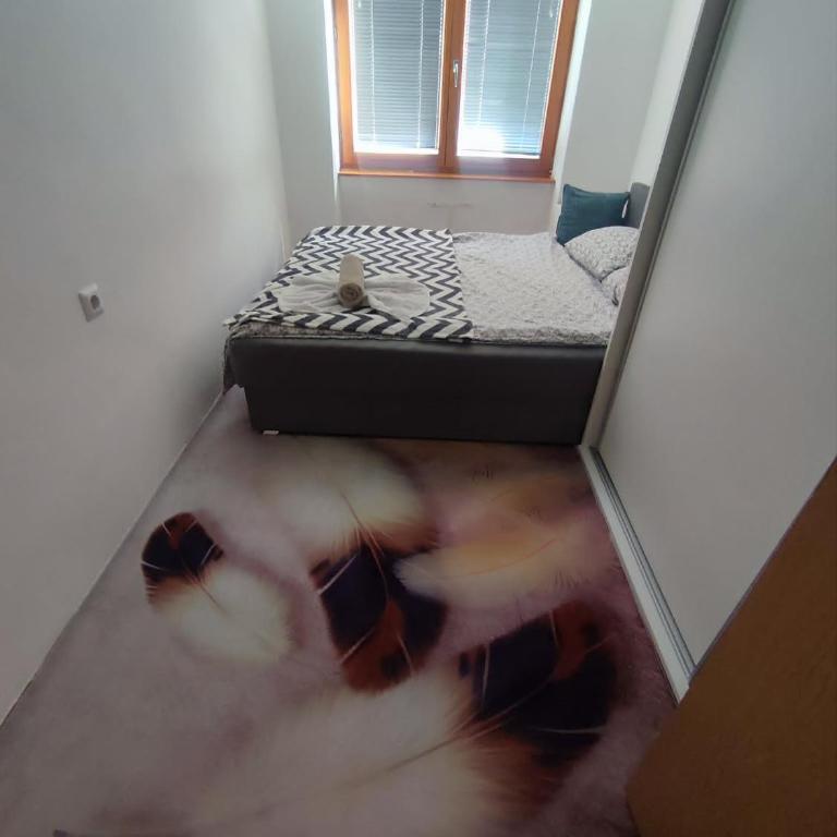 Odmor u Sarajevu na Grbavici - Apartman sa 2 Spavaće Sobe - 1