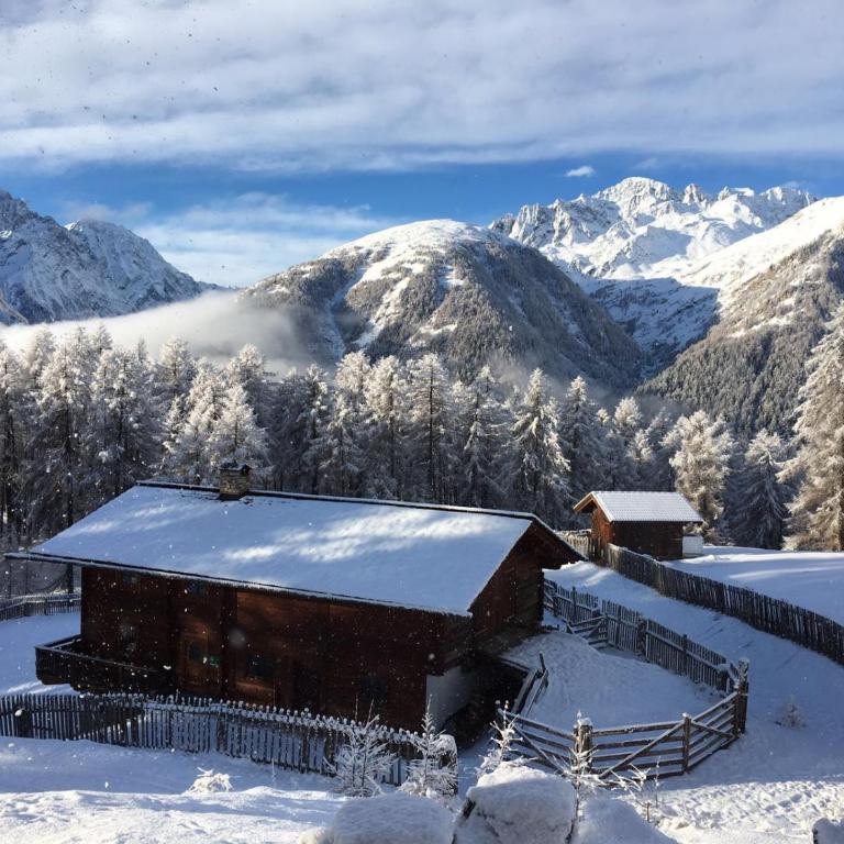 Almhütte Adlerhorst - Haus mit 3 Schlafzimmern - 26