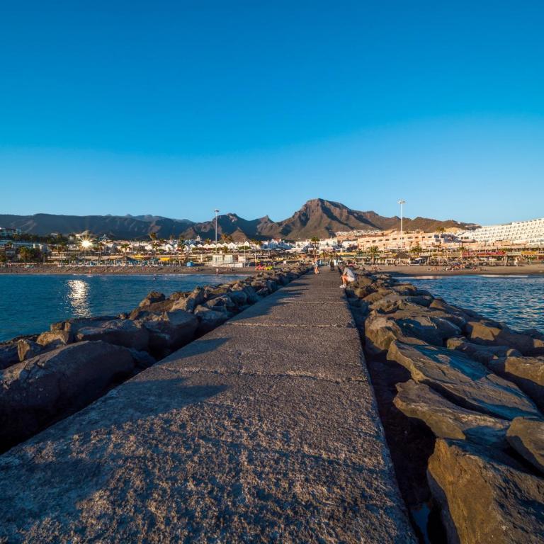 ROCKIN' VIEW COSTA ADEJE - 2 br, great terrace, parking, pool - Appartement 2 Chambres - 65