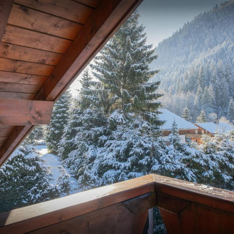 Chalet Igel - OVO Network - Chalet - 3