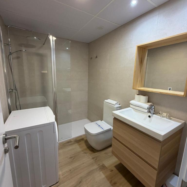 Apartamentos Leyre Candanchú - Estudio con terraza - 4