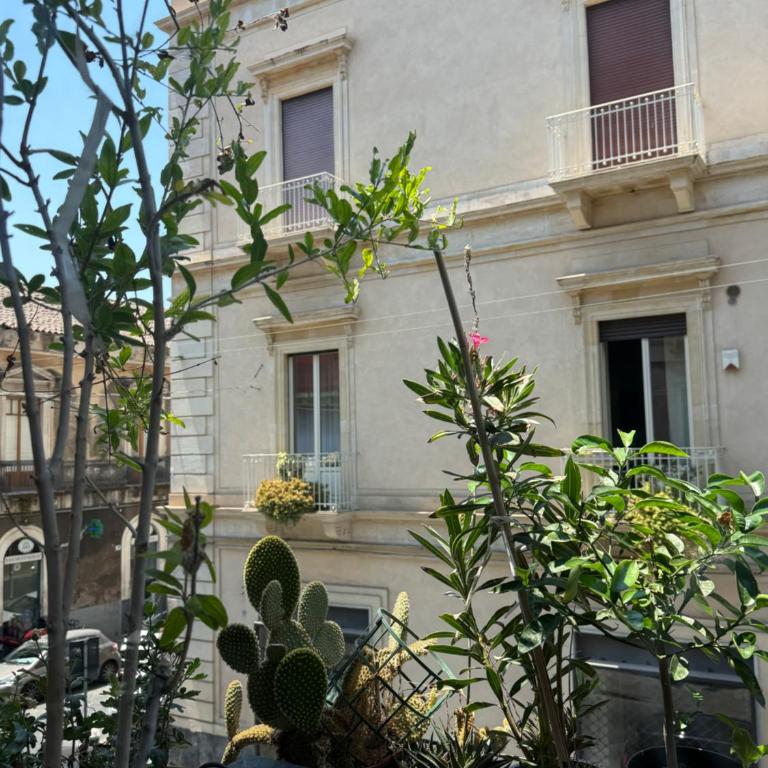 Crispi Accomodation B&B - Family Room with Private Bathroom - 1