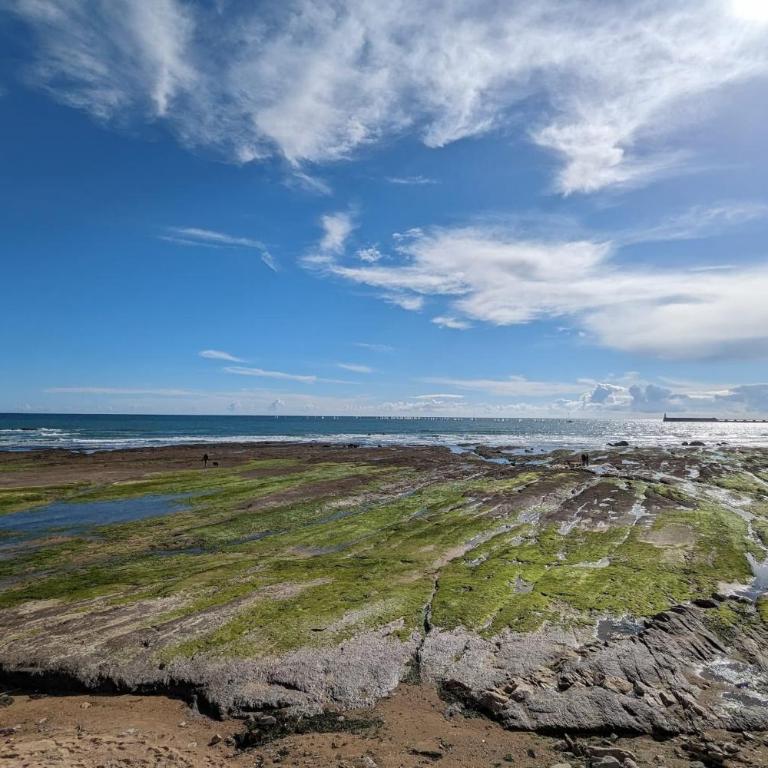 Pleasant seaside studio - Studio - 13