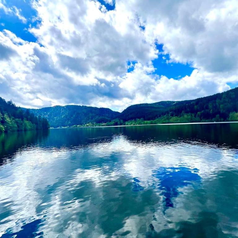 High-end flat in the centre of Gérardmer - Apartamento - 19