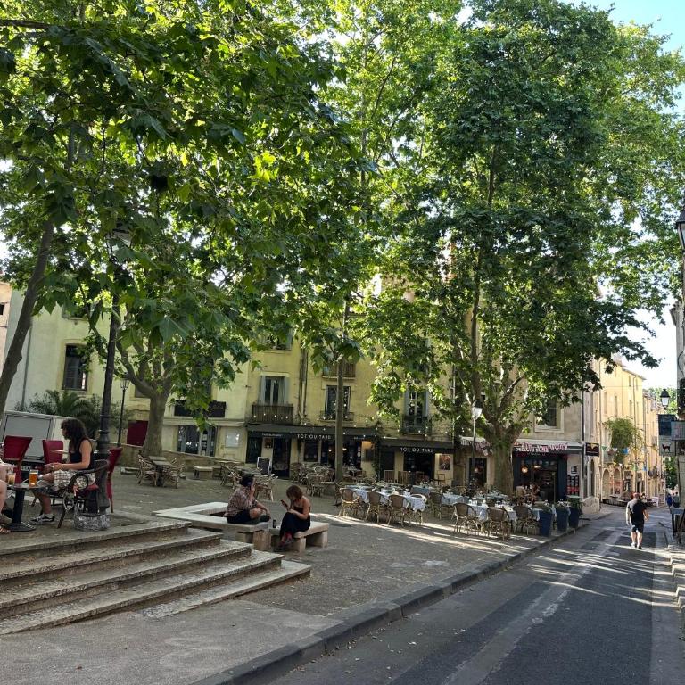 L'Écusson vert, charmant T2 central et climatisé - Apartment mit 1 Schlafzimmer - 36