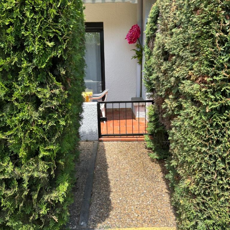 Le Petit Baigneur - Appartement 1 Chambre - 15