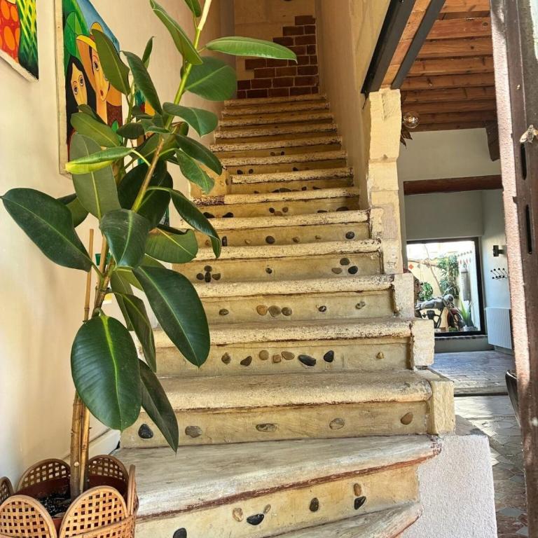 Maison de Caractère avec Piscine - Villa 3 Chambres - 13