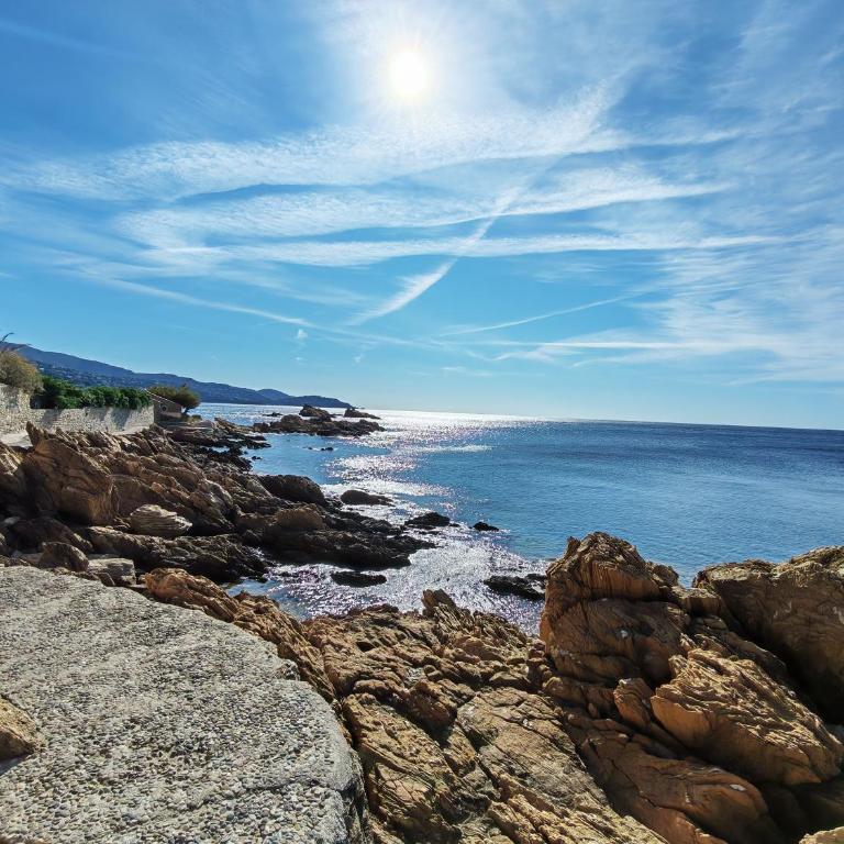 La siesta Le Lavandou 83 - One-Bedroom Apartment - 9
