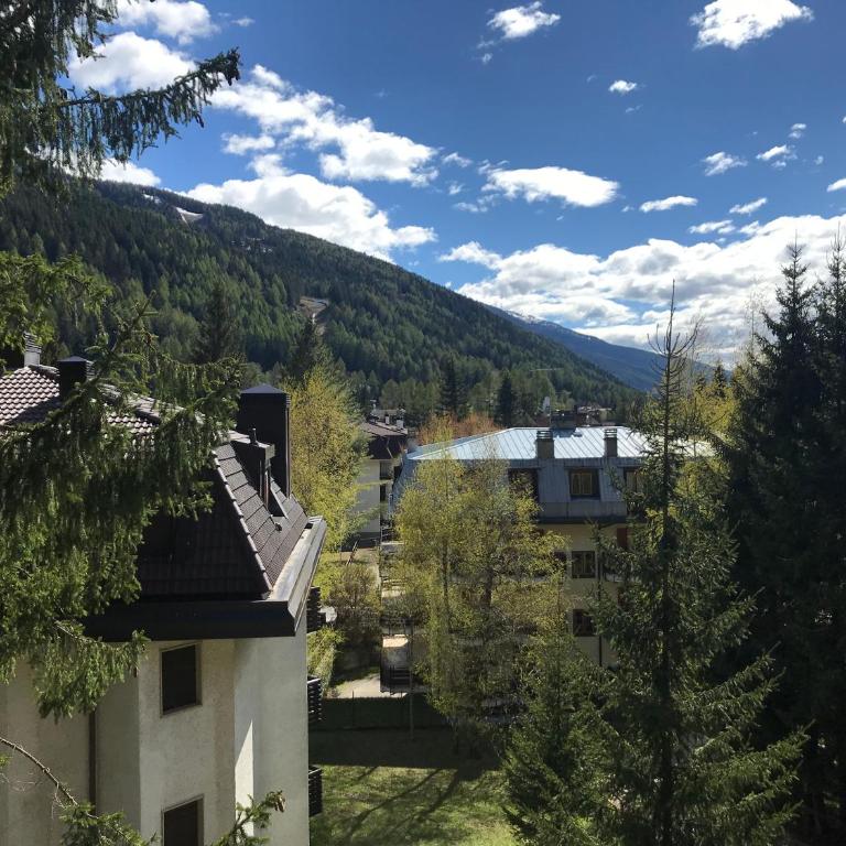 Sonne - AffittiPontediLegno - Appartamento - 14