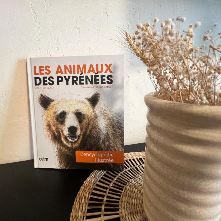 Apparts au Cœur de St-Lary - Piscine Chauffée et Sauna - Appartement avec Balcon - 2