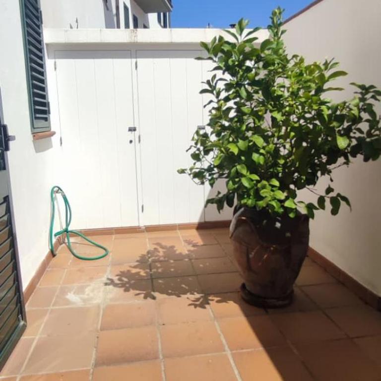 Apartamento centrico y terraza grande - Apartamento de 2 dormitorios - 15