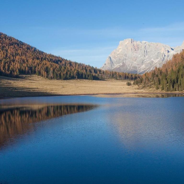 Agritur Alle Quattro Stagioni - Apartamento Deluxe de 2 dormitorios con vistas al jardín - 32