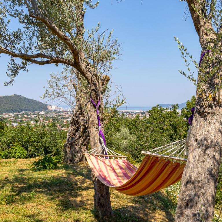 Whisper of Olives - 5 Min Drive to the Old Town, Bar - Apartman sa 1 Spavaćom Sobom - 49