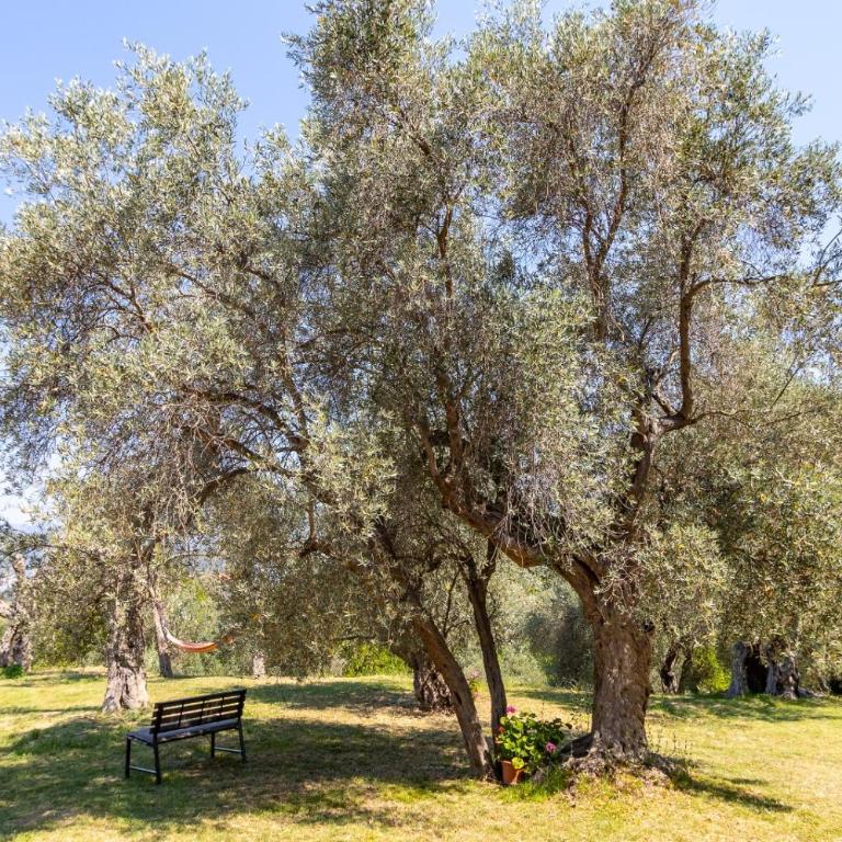 Whisper of Olives - 5 Min Drive to the Old Town, Bar - Apartman sa 1 Spavaćom Sobom - 42