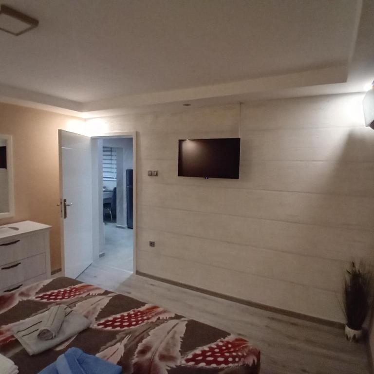 Milivojevic - Apartman sa Balkonom - 13