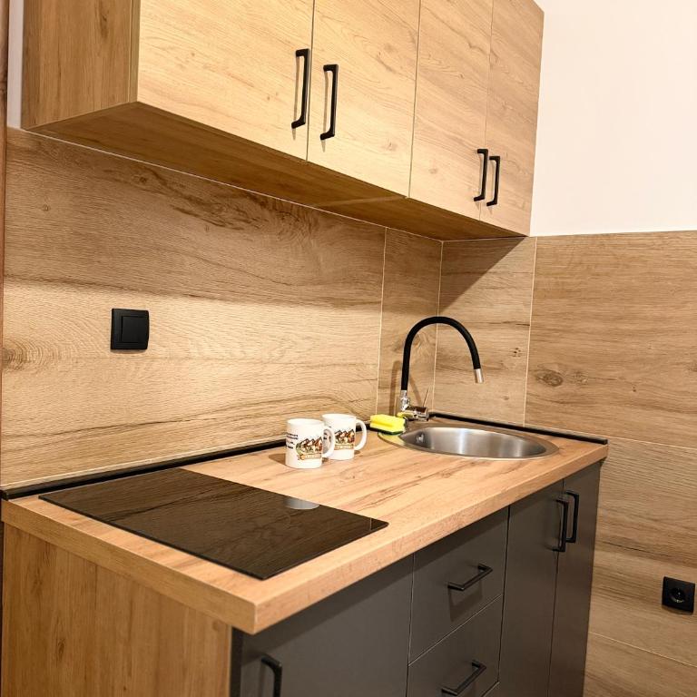 Tri ville - Apartman sa 1 Spavaćom Sobom - 7