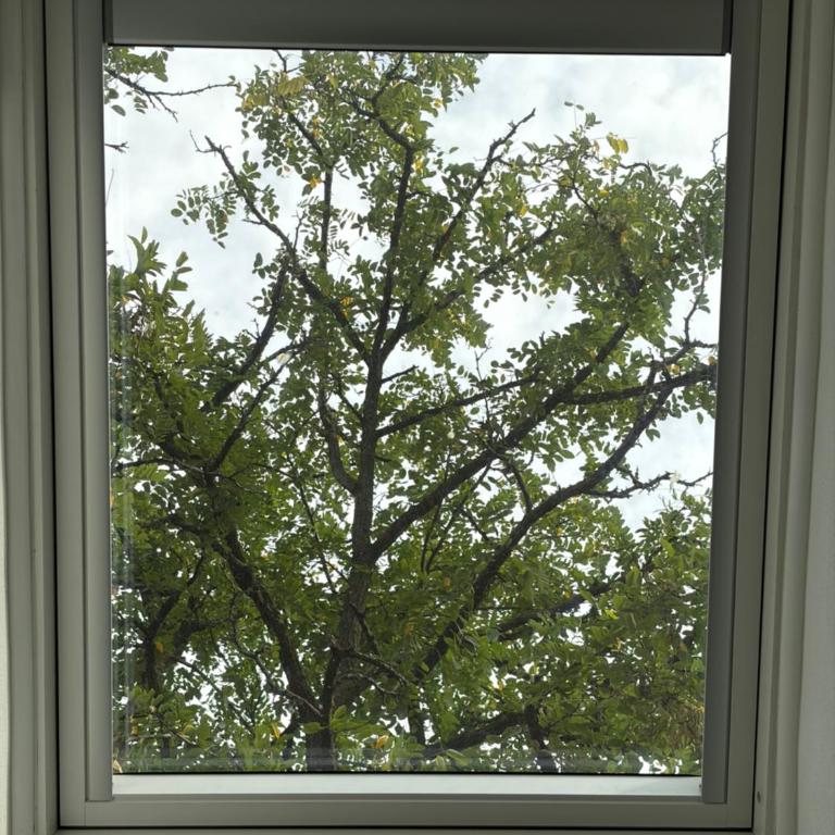 Grazioso monolocale - Appartamento con 1 Camera da Letto - 6