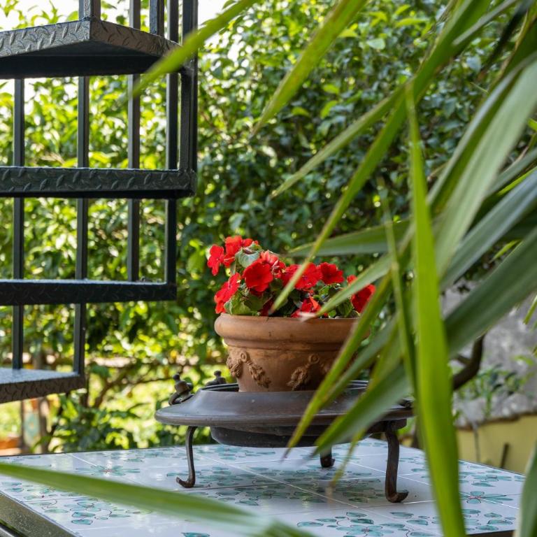 Casa La Terrazza - Casa Vacanze - 65