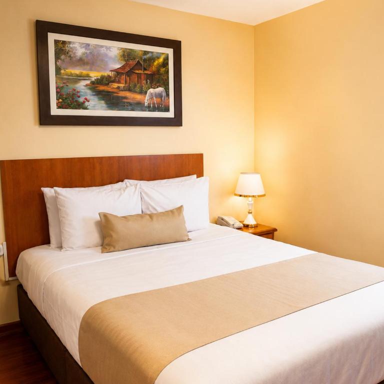 Hotel Santa Rosa - Single Room - 5