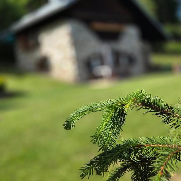 Baita casapendola - Two-Bedroom Chalet - 19