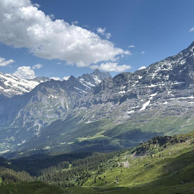ABO - Boutique Apartment - Chalet Grindelwaldgletscher - Appartement 1 Chambre - 23